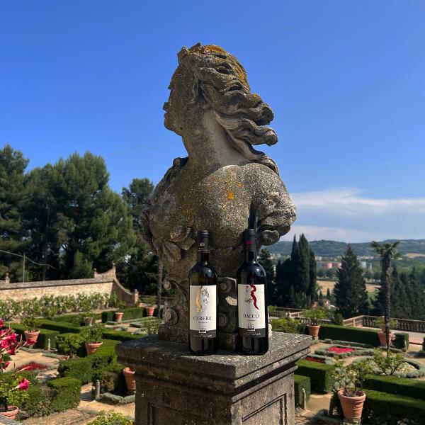 vino-cantina -villa-caprile-pesaro