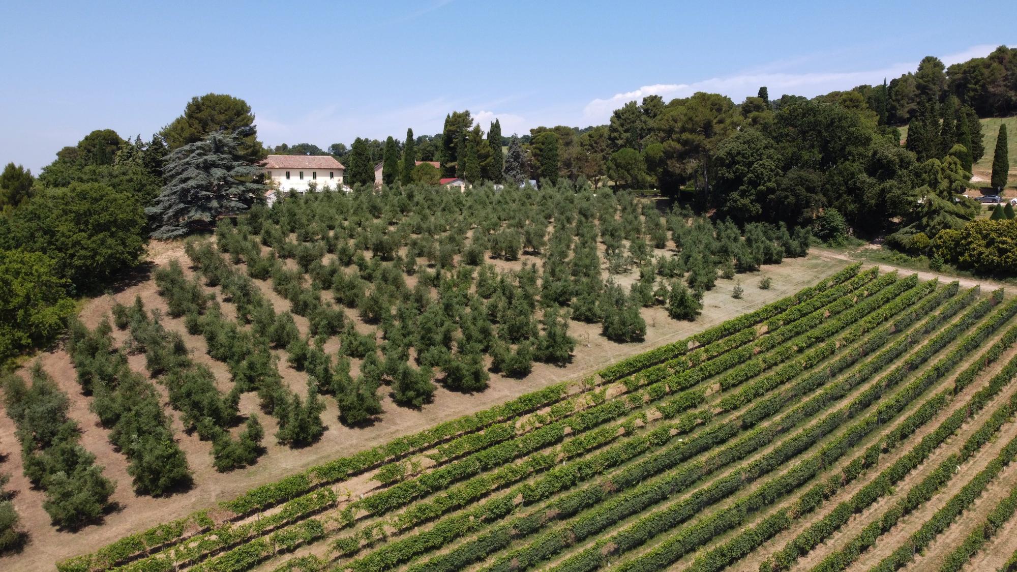 il territorio - Villa Caprile